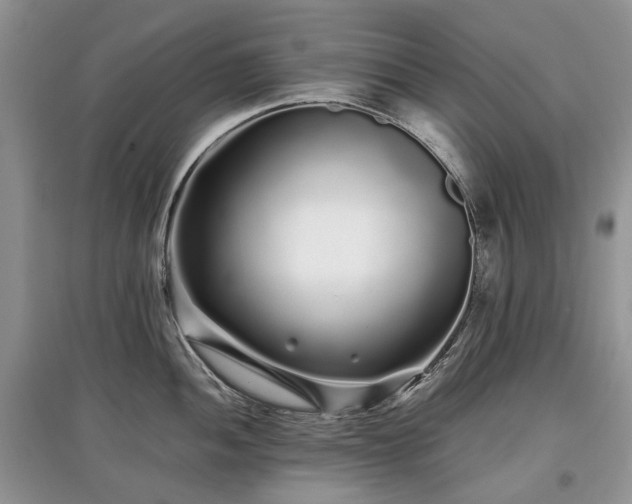 X0000097641052200803071549