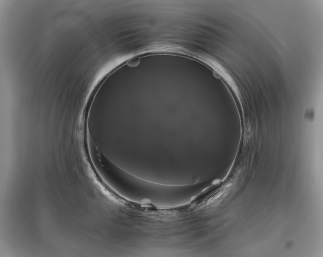 X0000097641053200803071549