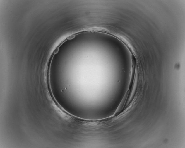 X0000097641054200803071549