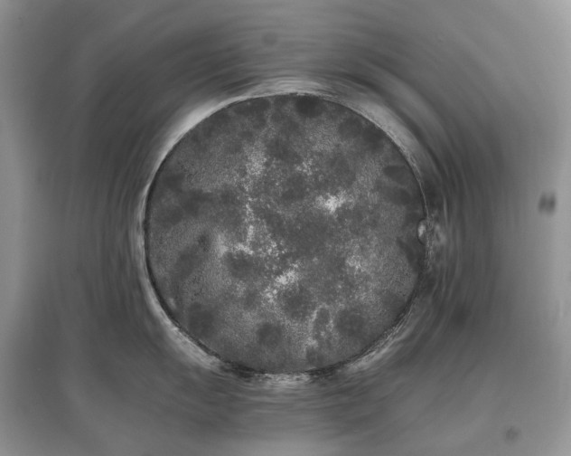 X0000097641055200803071549