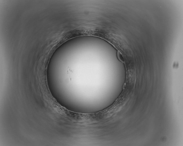 X0000097641057200803071548