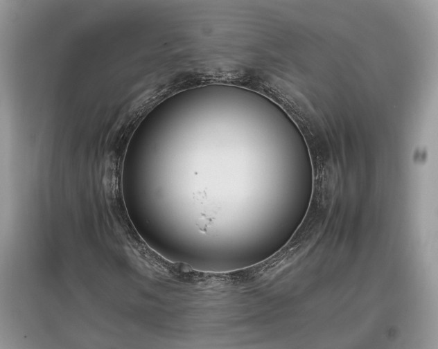 X0000097641058200803071548