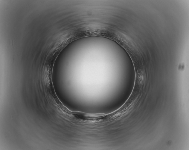 X0000097641060200803071548