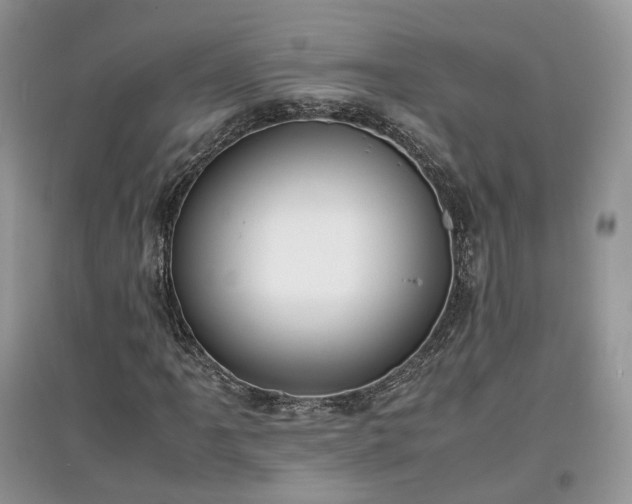 X0000097641061200803071548