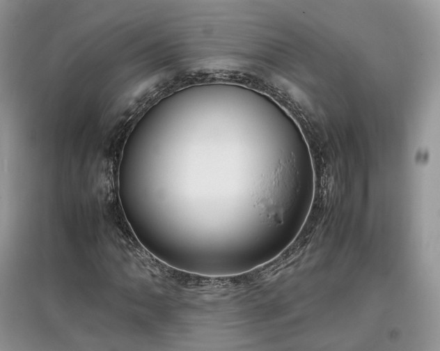 X0000097641062200803071548