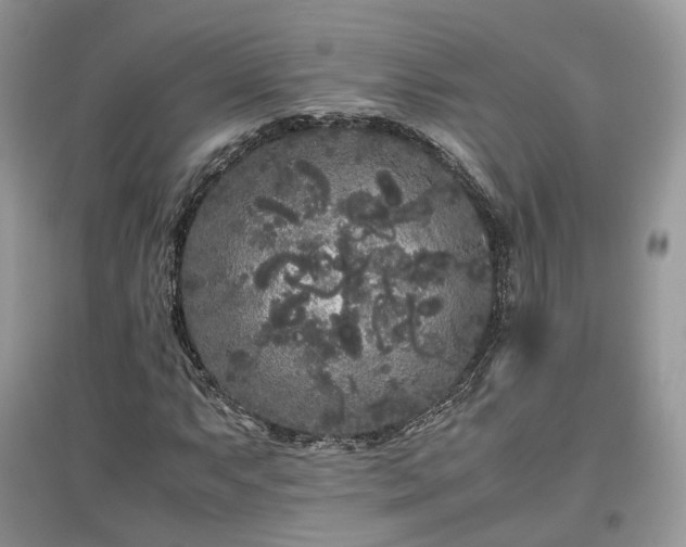 X0000097641063200803071548