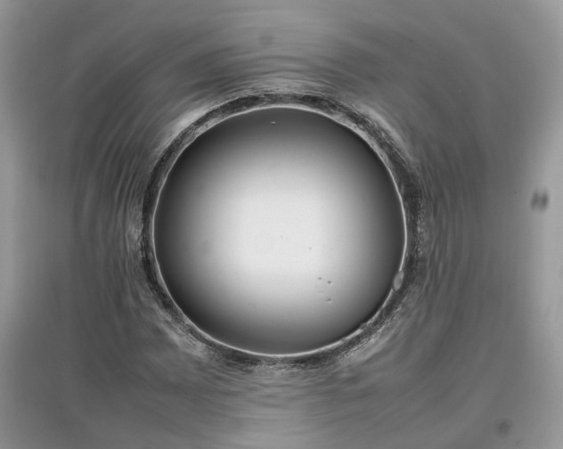 X0000097641065200803071548