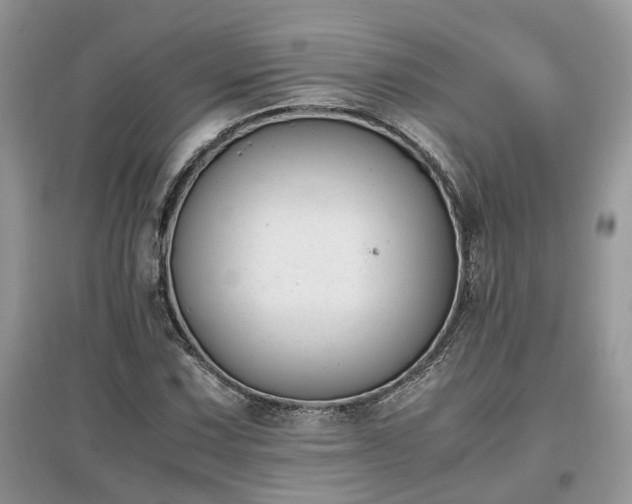 X0000097641067200803071548