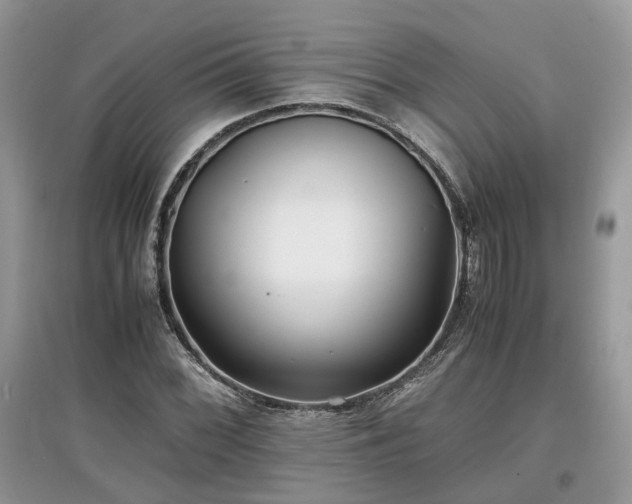 X0000097641068200803071548