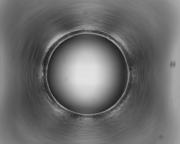 X0000097641070200803071548