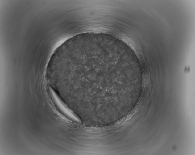 X0000097641071200803071548