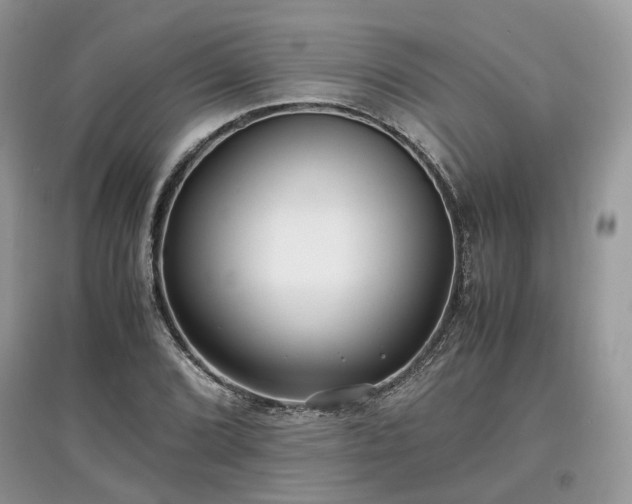 X0000097641072200803071548