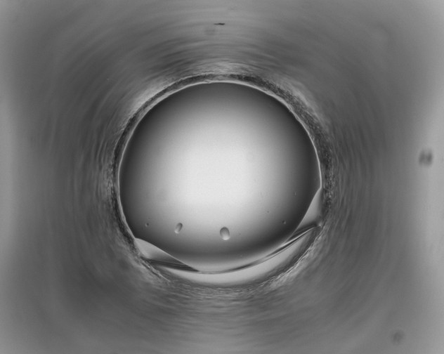 X0000097641073200803071548