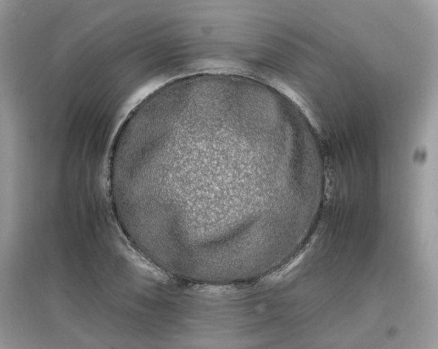 X0000097641074200803071548