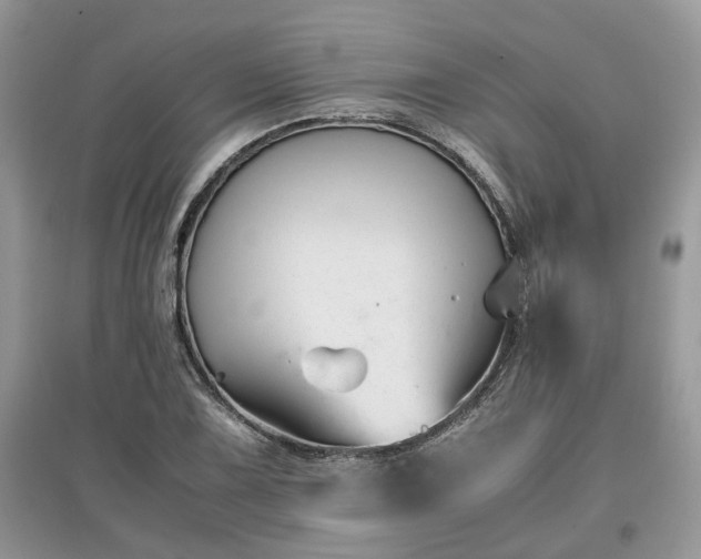 X0000097641075200803071548