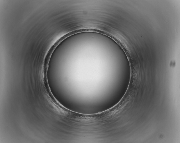 X0000097641076200803071548