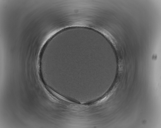 X0000097641077200803071548