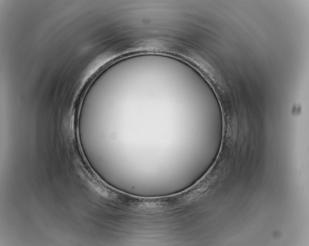 X0000097641078200803071548