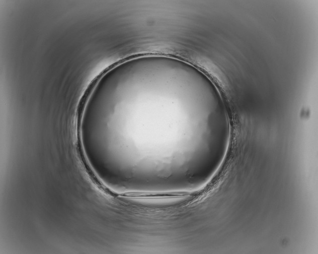 X0000097641079200803071548