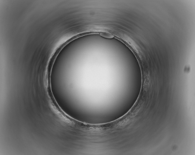 X0000097641080200803071548