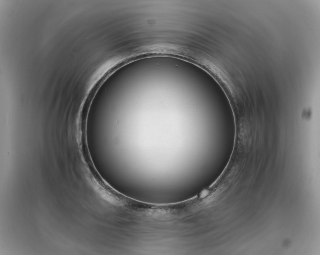 X0000097641082200803071548