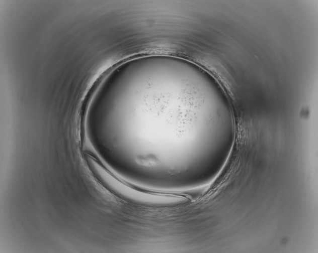 X0000097641083200803071548