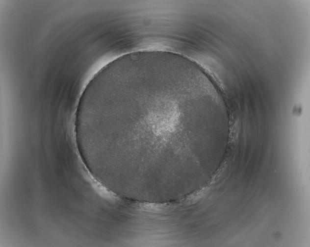 X0000097641086200803071548