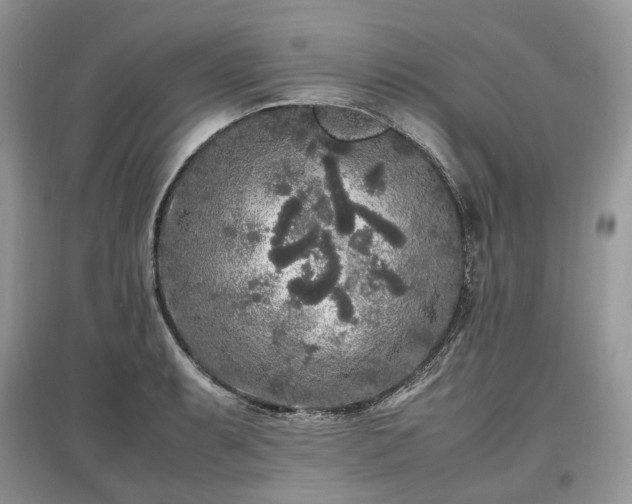 X0000097641087200803071548