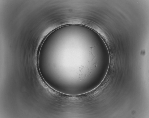 X0000097641088200803071548