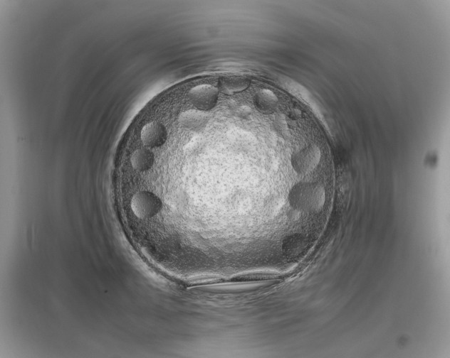 X0000097641091200803071548