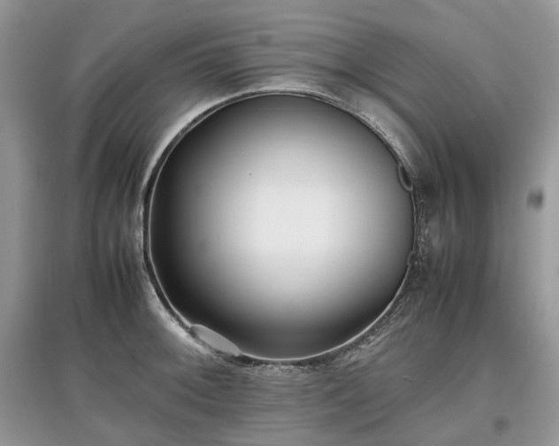 X0000097641092200803071548