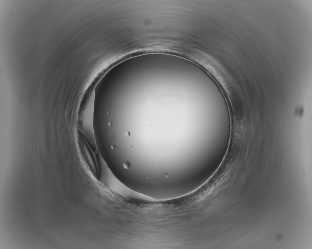 X0000097641093200803071548