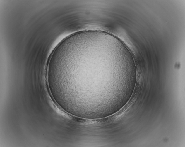 X0000097641094200803071548