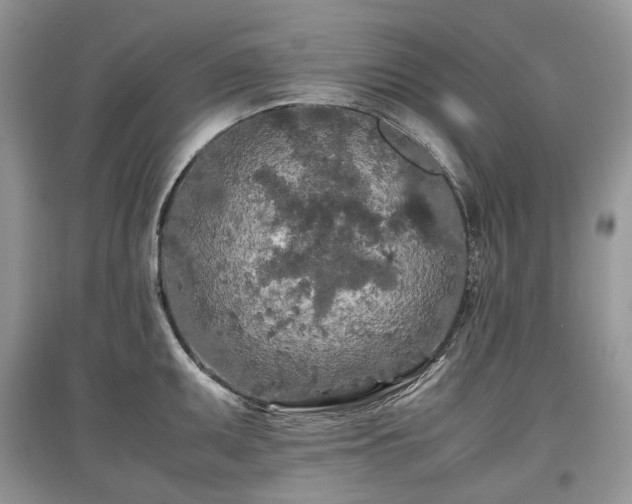 X0000097641095200803071548