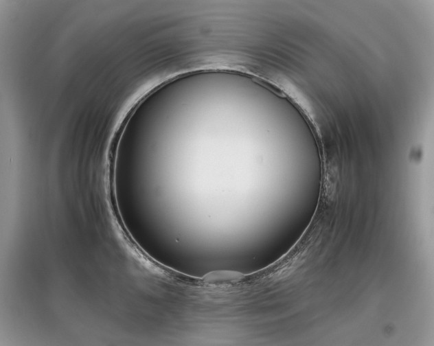 X0000097641096200803071547