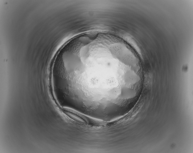 X0000097641099200803071547