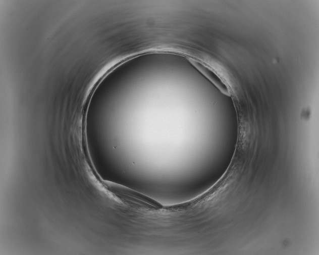 X0000097641100200803071547