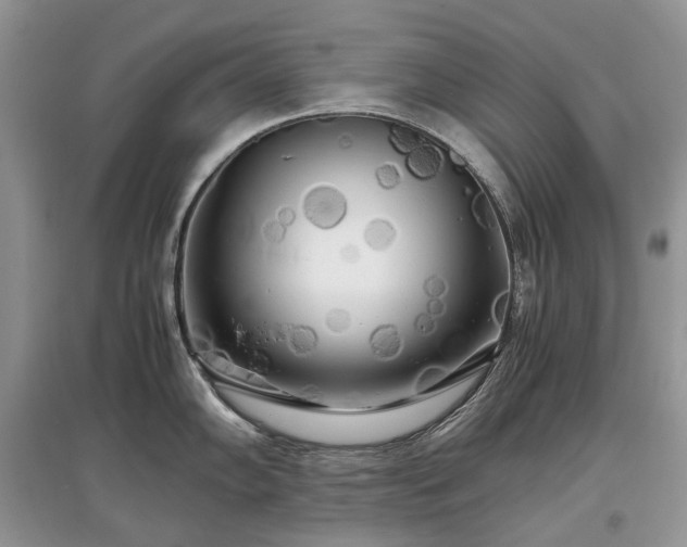 X0000097641102200803071547