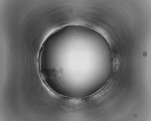 X0000097641103200803071547