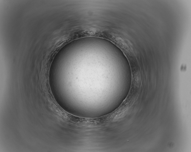 X0000097641105200803071547