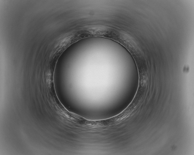 X0000097641108200803071547