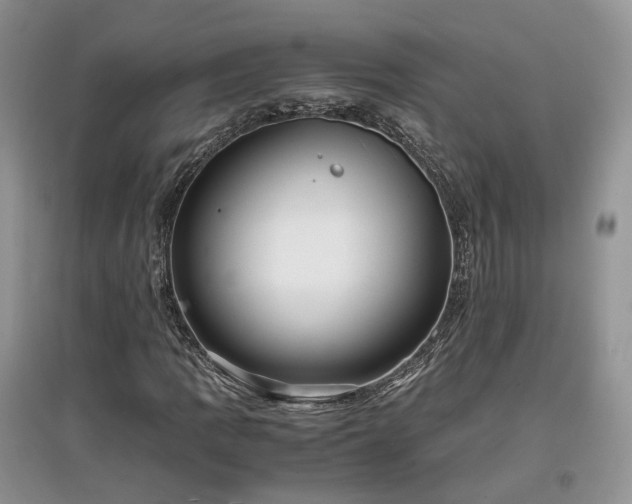 X0000097641109200803071547