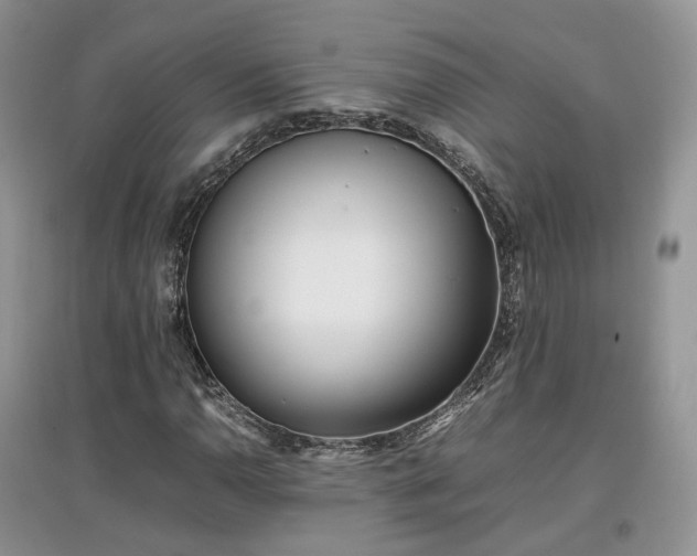 X0000097641110200803071547