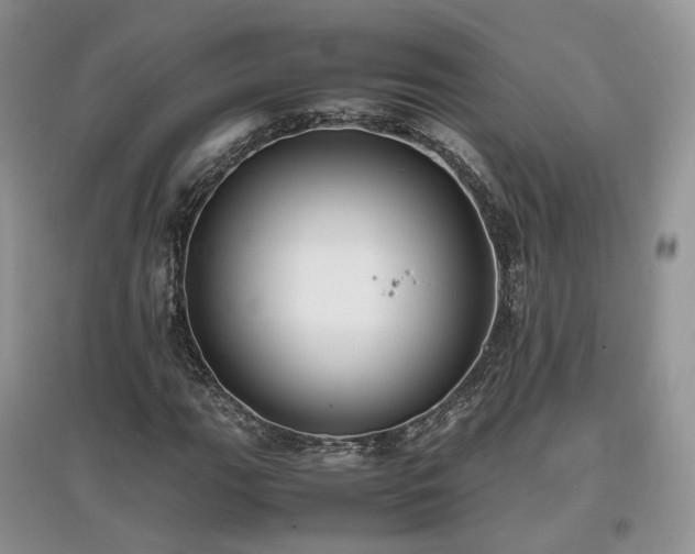 X0000097641111200803071547