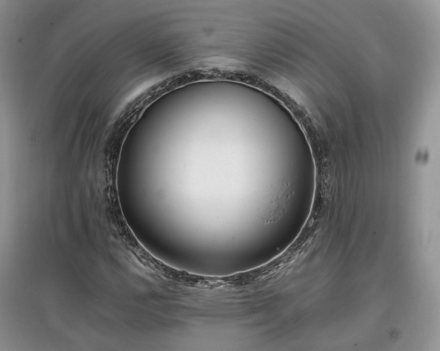 X0000097641112200803071547