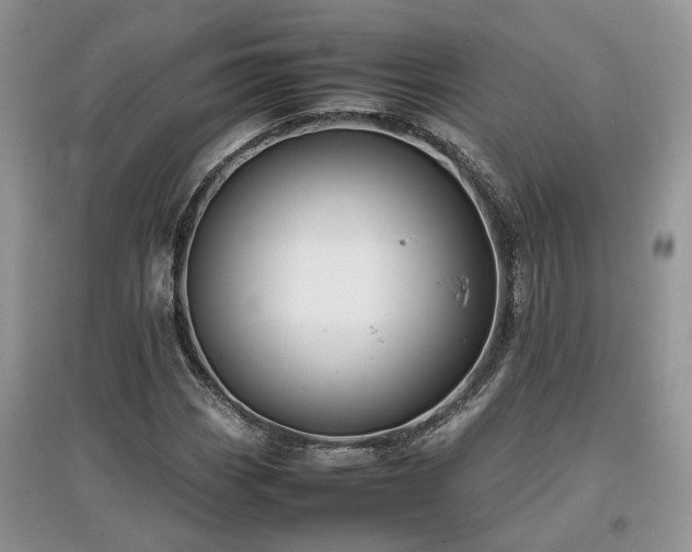 X0000097641113200803071547