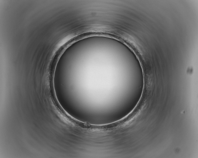 X0000097641114200803071547