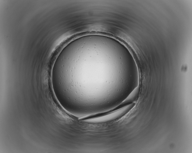 X0000097641115200803071547