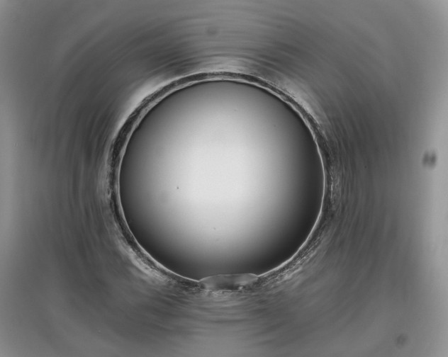 X0000097641116200803071547