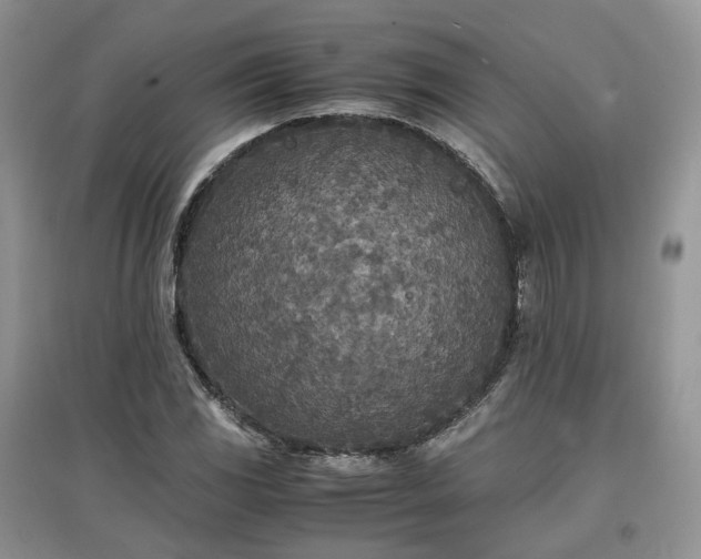 X0000097641117200803071547